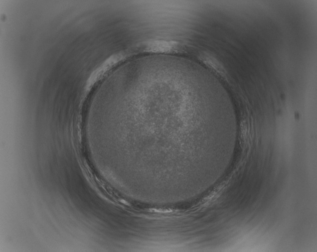 X0000056330682200508291253