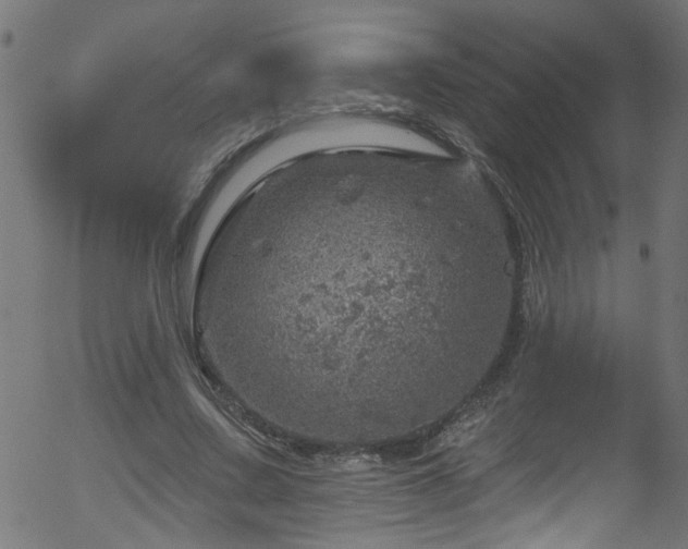 X0000056330683200508291253