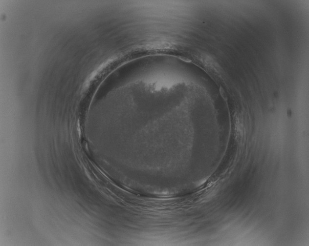 X0000056330684200508291253