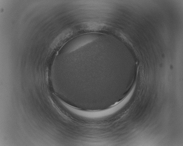 X0000056330685200508291252