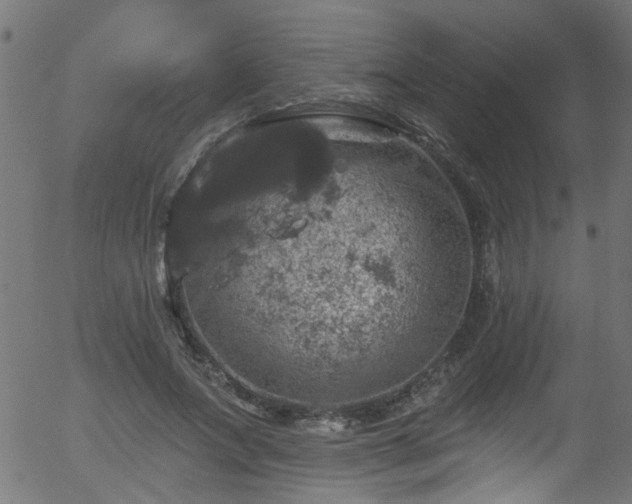 X0000056330687200508291252