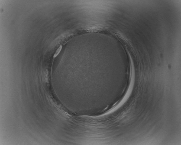 X0000056330689200508291252