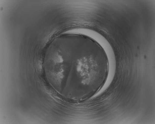 X0000056330691200508291252