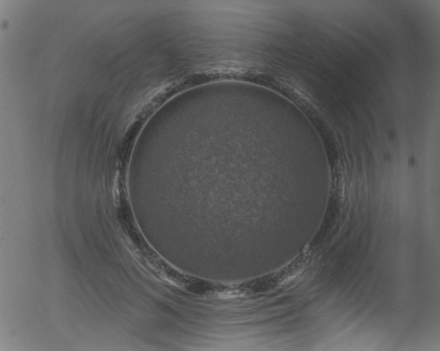 X0000056330692200508291252