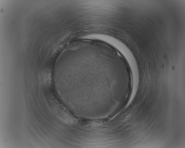 X0000056330697200508291252