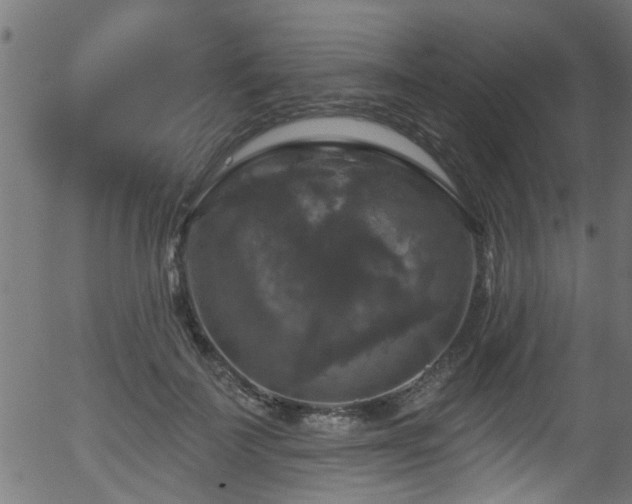 X0000056330699200508291252