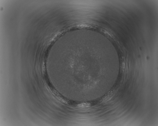 X0000056330700200508291252