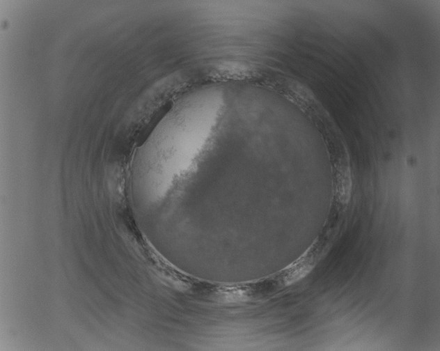 X0000056330701200508291252