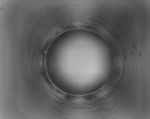 X0000056330702200508291252