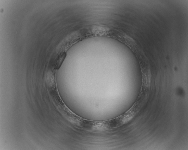 X0000056330705200508291252