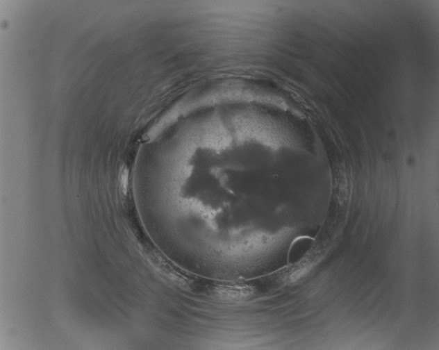 X0000056330707200508291252