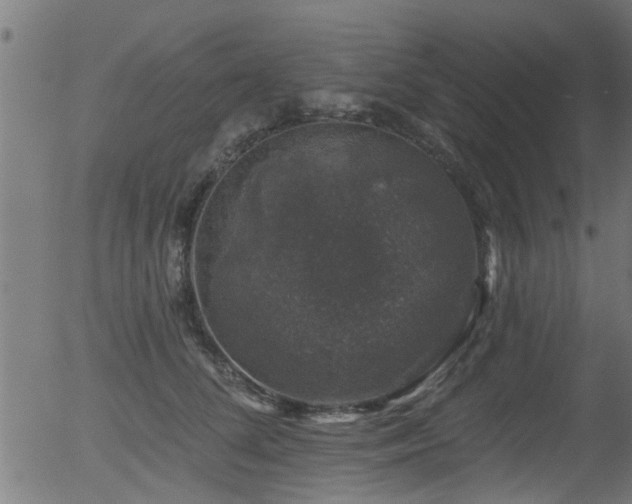 X0000056330708200508291252