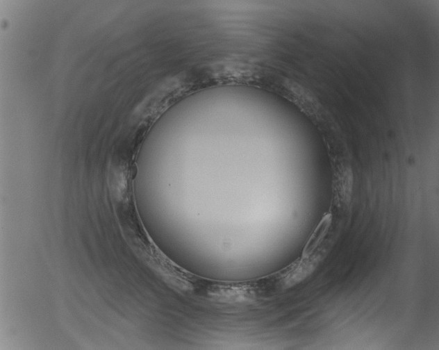 X0000056330709200508291252