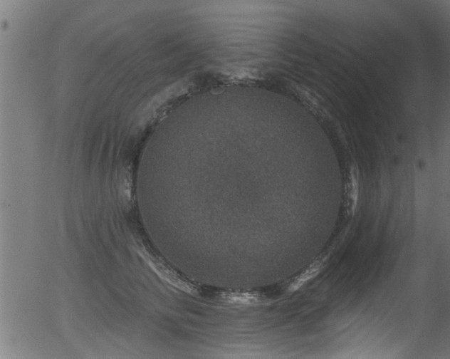 X0000056330710200508291252