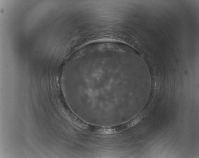 X0000056330711200508291252