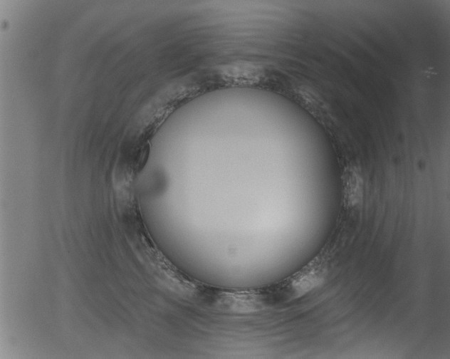 X0000056330713200508291252