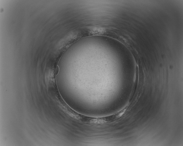 X0000056330714200508291252