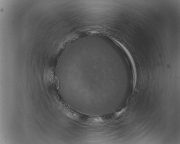 X0000056330715200508291252