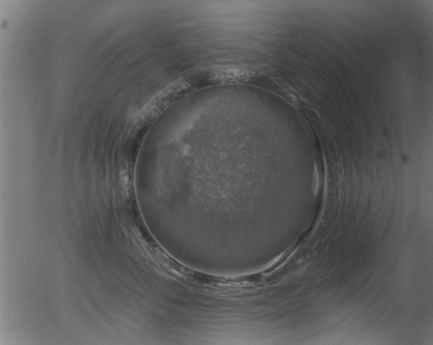 X0000056330716200508291252