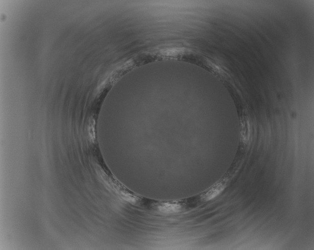 X0000056330718200508291252