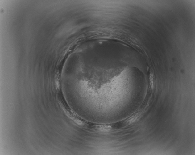 X0000056330719200508291252