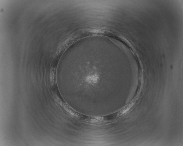 X0000056330720200508291252