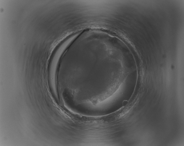 X0000056330721200508291251