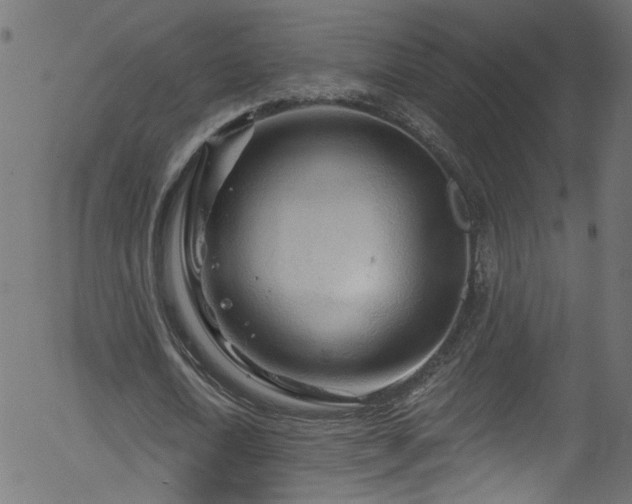 X0000056330722200508291251