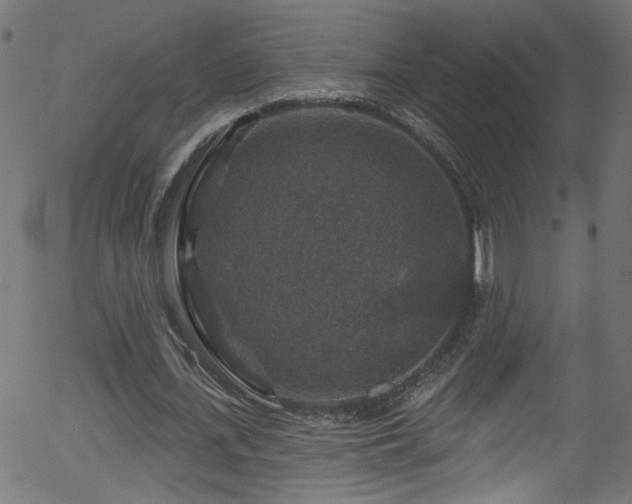 X0000056330723200508291251