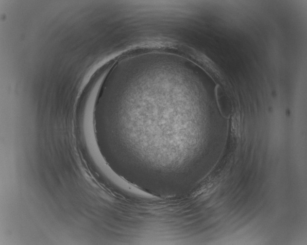 X0000056330724200508291251