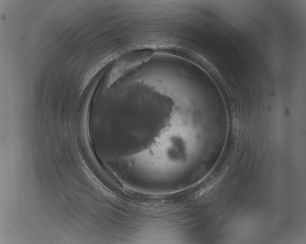 X0000056330725200508291251