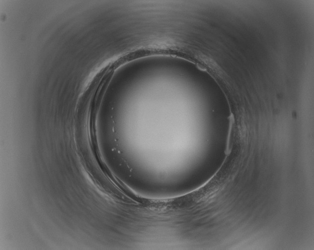 X0000056330728200508291251