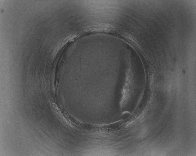 X0000056330729200508291251