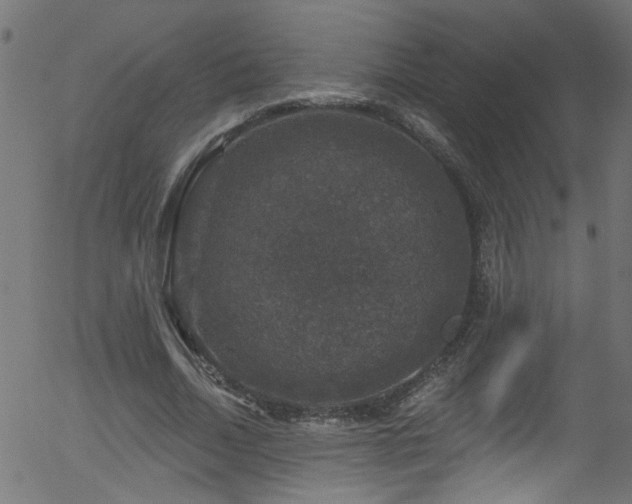 X0000056330730200508291251