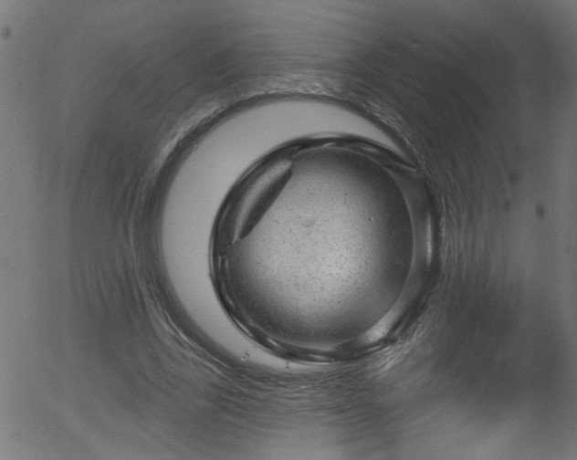 X0000056330731200508291251