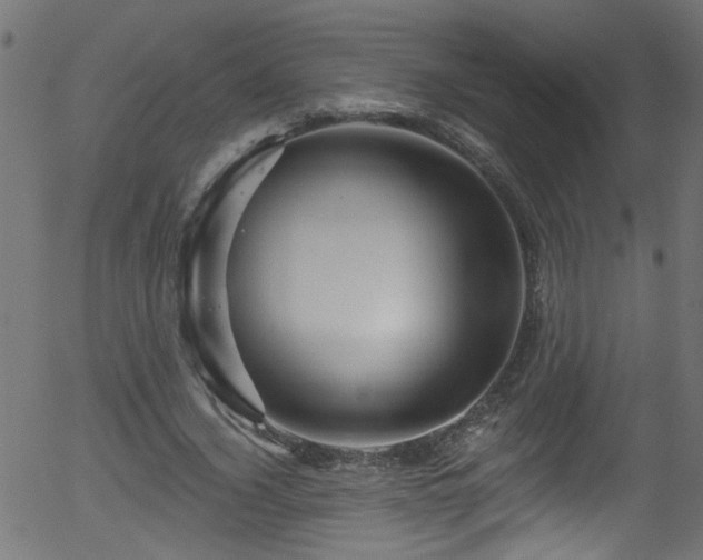 X0000056330732200508291251