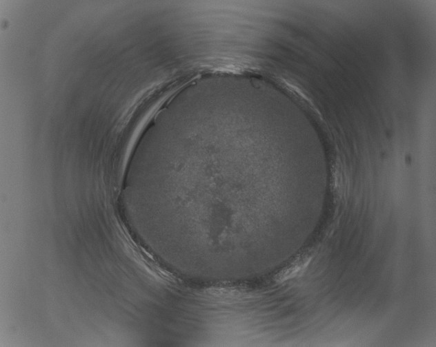 X0000056330733200508291251