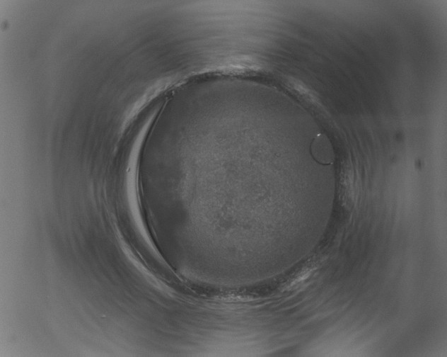 X0000056330734200508291251