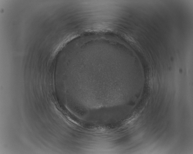 X0000056330735200508291251