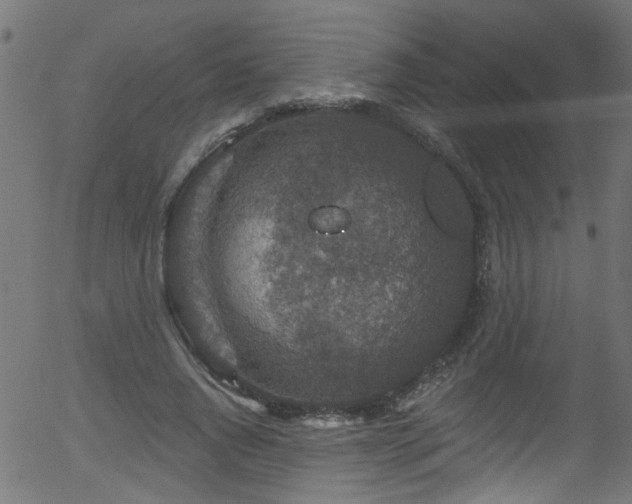 X0000056330736200508291251