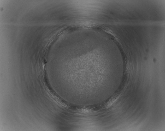 X0000056330737200508291251