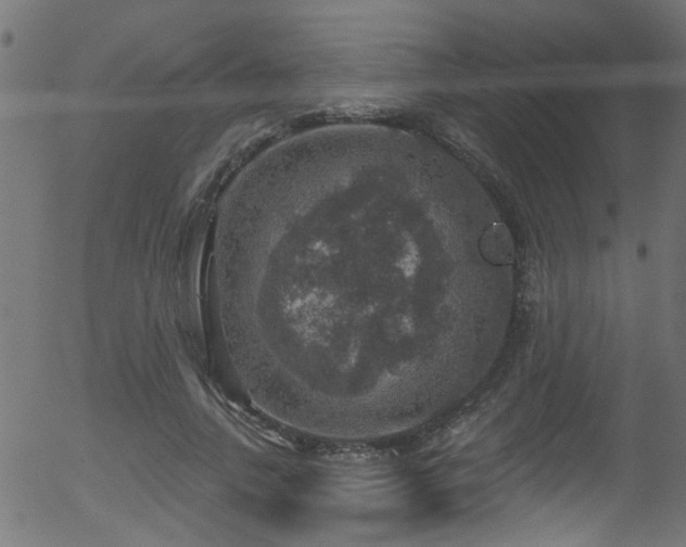 X0000056330738200508291251