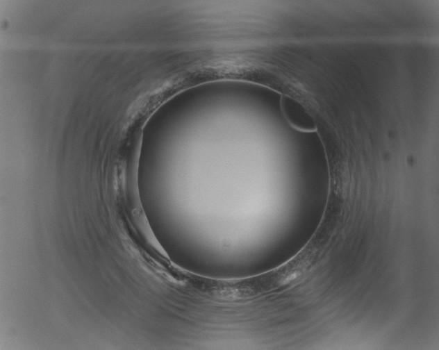 X0000056330740200508291251