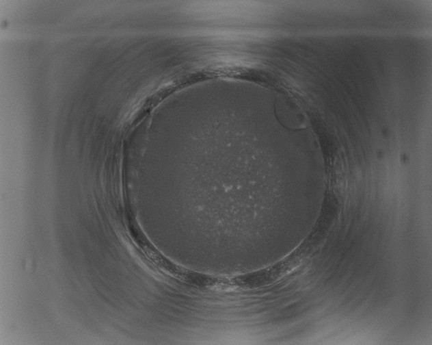 X0000056330742200508291251