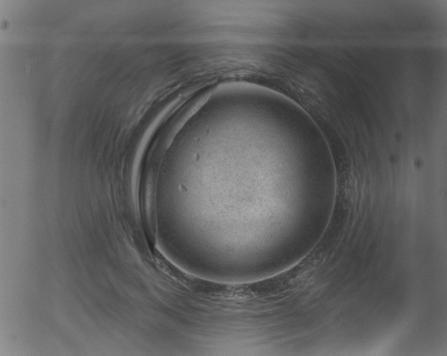 X0000056330743200508291251