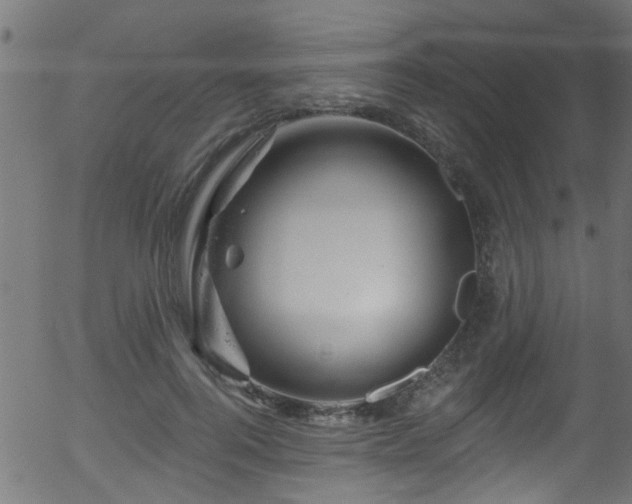 X0000056330744200508291251