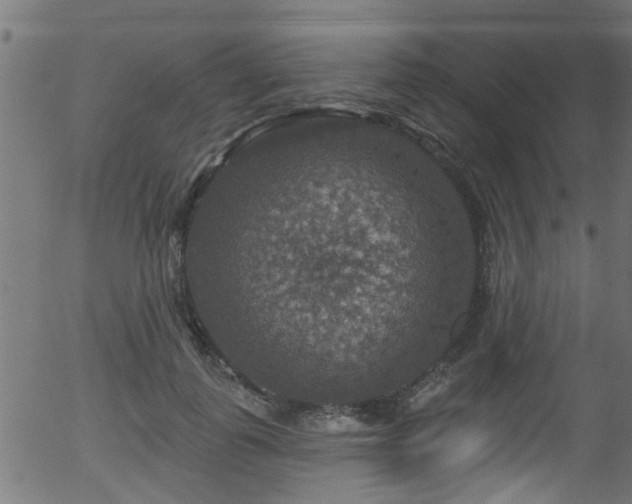 X0000056330747200508291252