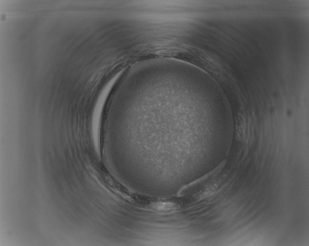 X0000056330748200508291252