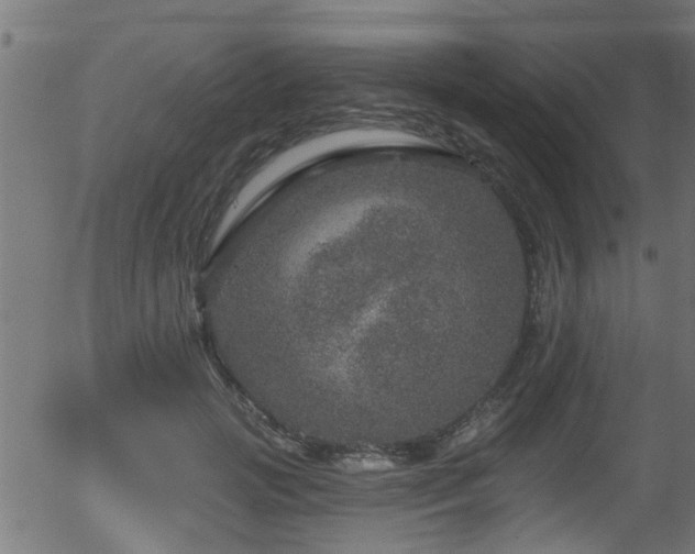 X0000056330749200508291252