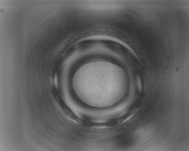 X0000056330750200508291252